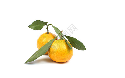 新鲜冰糖橘里皮橘仁绿色食物黄色热带树叶叶子宏观橙子水果背景