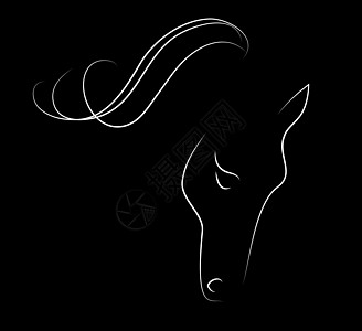 优雅的马匹鬃毛绘画艺术黑色黑与白白色草图轮廓宠物画笔图片
