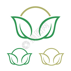 绿叶花卉图案标志模板插图设计 矢量 EPS 10生态办公室工作室技术网站互联网装饰商业叶子艺术图片