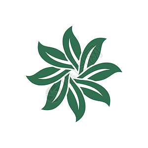 绿叶花卉标志模板插图设计 矢量 EPS 10植物标识热带花园花店装饰互联网办公室商业风格图片