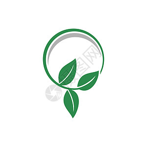 圆形绿叶标志模板插图设计 矢量 EPS 10工作室标识技术网站互联网生物艺术草本植物生长植物图片