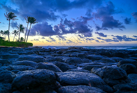 夏威夷Kauai海岸的日出橙子棕榈旅行日落岛屿热带旅游天堂海景天空图片