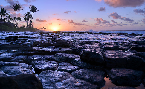 夏威夷Kauai海岸的日出橙子日落旅游蓝色旅行天空假期岛屿棕榈太阳图片