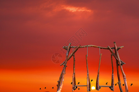 夜里秋天日落 双轮鸟飞翔在戏剧性晴天飞行旅行国家太阳旅游草地鸟类环境图片