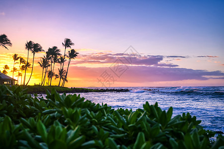 夏威夷Kauai海岸的日出海景天空天堂岛屿棕榈旅游橙子蓝色海洋热带图片