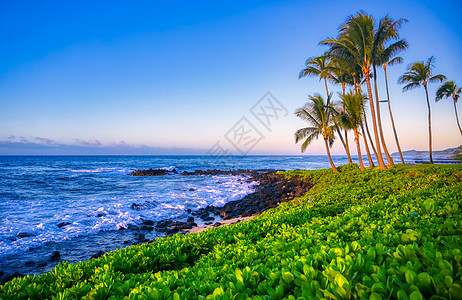 夏威夷Kauai海岸的日出棕榈旅行太阳日落天堂海洋蓝色天空橙子旅游图片