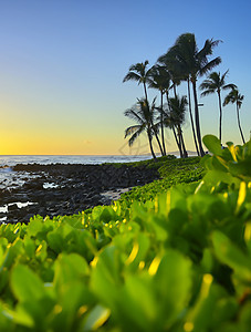 夏威夷Kauai海岸的日落波浪假期旅行绿色蓝色太阳天空公园日出天堂图片