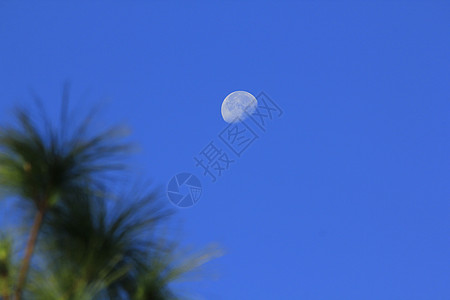 月光孤单的天空环境蓝天摄影月亮勘探地形蓝色荒野自由旅游图片