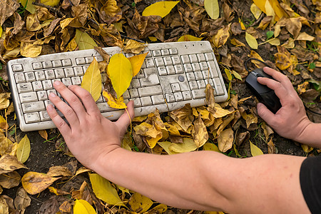 秋天 一个在电脑上工作的男人 在城市的黄树叶上办公室商业森林站立车站经理说谎桦木技术树叶图片