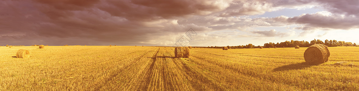 日落或日出时带干草堆的田地稻草农业收获地平线粮食天空场地收成农场农村图片