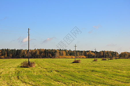 带电线杆的秋草地电话草原场景全景工程活力文明邮政电报森林背景图片