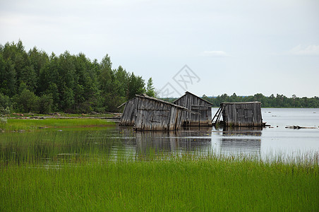 湖岸废弃的滑坡医生铺板降解甲板国家草本植物衰变破坏木板废墟拆除图片