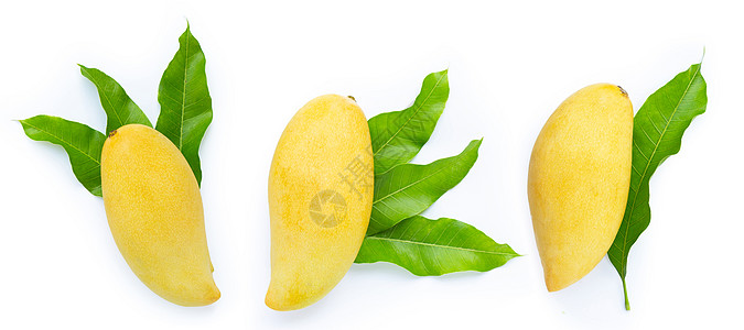 白背景有叶子的芒果美食黄色白色季节营养果汁水果热带异国维生素图片