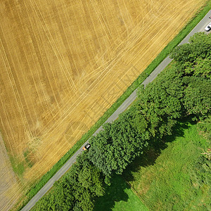 一片绿色草地和一片收获的麦田的航拍照片 上面有一条小路和一排树抽象航拍照片图片
