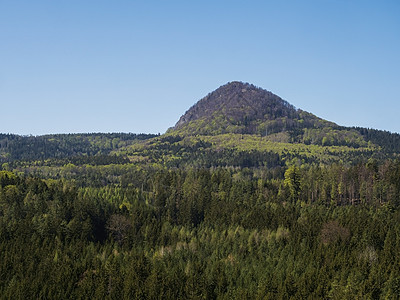Lusatian山脉的春地 其景点为Klic或Kleis角山丘 新鲜的低沉和采树林 蓝天空背景 水平 复制空间魔法小时云杉树旅游图片