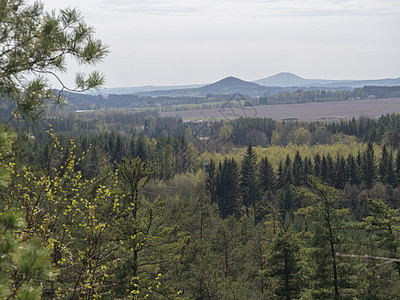 从砂岩岩石 青山 新鲜的落叶和云杉林看 Lusatian 山脉的春天景观 蓝天背景 水平 复制空间爬坡天线石头远足风景地平线森林图片
