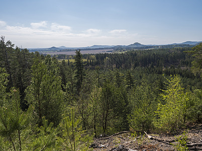 从砂岩岩石 青山 新鲜的落叶和云杉林看 Lusatian 山脉的春天景观 蓝天背景 水平 复制空间魔法小时天线森林风景远足假期地图片