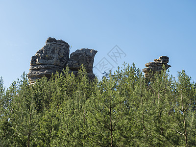 卢萨提亚山脉春季地貌的砂石岩柱 有着新的低温和采树林 蓝天空背景 复制空间图片