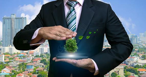 世界环境日生态概念人手拿着智能手机上的大植物树知识商务机构套装保险全球金融团队阳光投资图片
