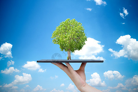 生态系统树与科技 植树造林 保护环境图片