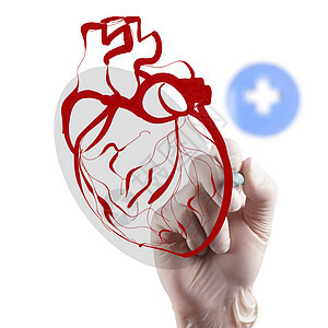 作为医学概念手握的立体听诊器医院考试专家测量测试心脏病学关心诊所心脏病卫生图片