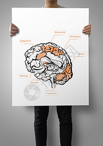 将手拔大脑的海报作为医学概念展示的人图片
