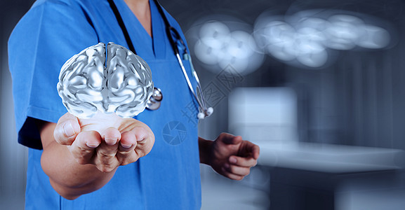 具有脑3D肉类的医生 他手上有作为概念的大脑3d肉类医疗天才科学教育智力生理专注皮层解剖学头脑图片