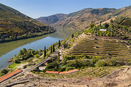 Duuro河谷和河流农村栽培国家农业地标天线丘陵旅行中音酿酒图片