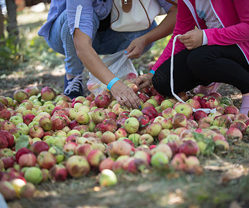 两个女人在地面上 分辨出丰富多彩的苹果图片