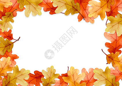 红色叶子框架在秋天概念隔绝在白色背景 平面布局 viewcopy 空间横幅收成问候森林环境植物水彩艺术插图感恩图片
