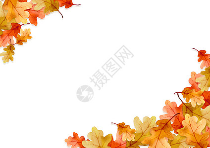 红色叶子框架在秋天概念隔绝在白色背景 平面布局 viewcopy 空间红叶森林季节橙子问候绘画艺术环境水彩植物图片