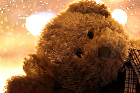 熊娃娃脸贴近 面对泰迪熊 孤独的形象(选择焦点)背景图片