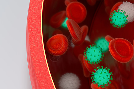 血液中的病毒 加上红色和白色的血细胞 3D接触细胞血管红细胞病理流动生物生活流感疾病微生物学图片