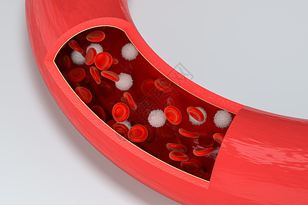 血管中的红细胞和白细胞3d 渲染生活生物血小板科学插图药品微生物学解剖学白细胞动脉图片