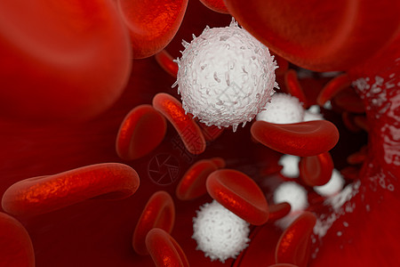 血管中的红细胞和白细胞3d 渲染免疫学生活临床血小板血液学流动药品解剖学显微镜科学图片