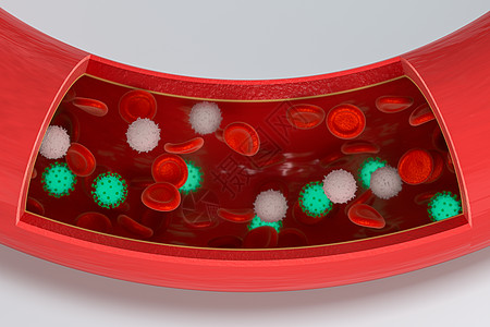 血液中的病毒 加上红色和白色的血细胞 3D接触血管生物心血管渲染流感血小板感染细胞疾病药品图片