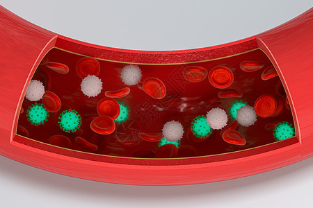 血液中的病毒 加上红色和白色的血细胞 3D接触血管生物心血管渲染流感血小板感染细胞疾病药品背景图片