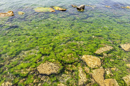 自然界的海水和岩石石头海浪泡沫场景海景碰撞墙纸危险液体冲浪图片