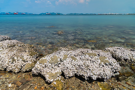 海中的石块 和清晨的波浪 与长期接触岩石卵石地平线墙纸天空石头鹅卵石海浪支撑海景图片