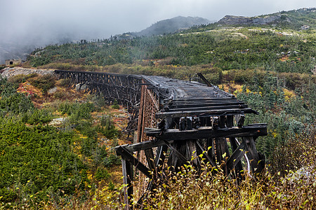 美国阿拉斯加Skagway的白色通道和育空公路铁路列车上的旧钢桥 建于1901年 著名的游轮旅游景点图片