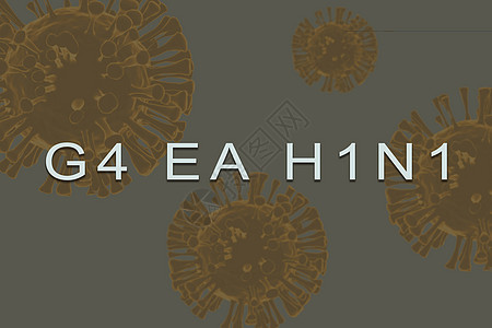 名为G4 EA H1N1 以3d变异病毒作为背景的新病毒的录用文本图片