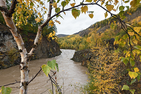 秋天风景 河水流在潮湿的山中图片
