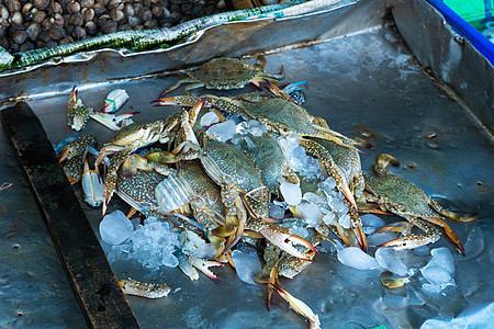 鱼市柜台的新鲜海鲜 在海洋边的鱼市上渔夫食物螃蟹城市钓鱼摊位美食牡蛎文化销售图片