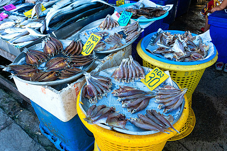 鱼市柜台的新鲜海鲜 在海洋边的鱼市上销售店铺食物渔夫螃蟹牡蛎城市钓鱼饮食文化图片