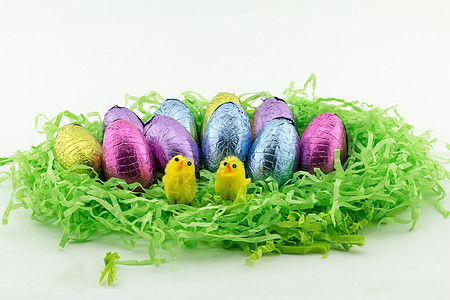 复活节鸡蛋加鸡鸡绿纸礼物挫败季节白色蓝色巧克力粉色绿色小鸡黄色图片