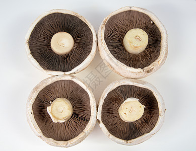 四大蘑菇图片