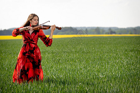 在绿色草原上玩小提琴的年轻红裙子女青年形象音乐家天空农业衣服女士农场场地快乐娱乐季节图片