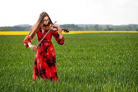 在绿色草原上玩小提琴的年轻红裙子女青年形象植物群细绳草地农村农业蓝色音乐家农场快乐场地图片