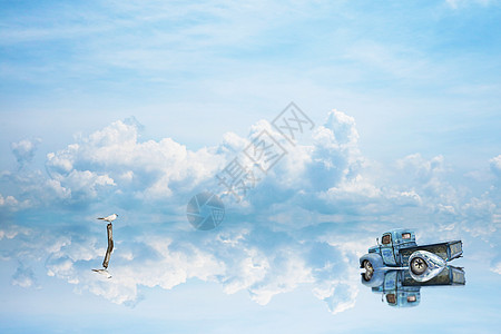 反射车在停放 鸟站在水上的干树上镜子戏剧性高度天空蓝色公园环境墙纸地平线旅行图片