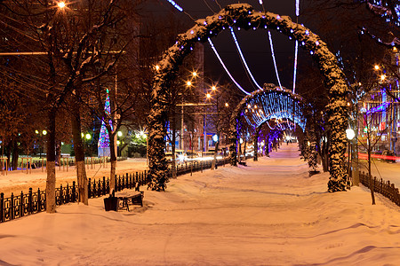 冬季晚上在城市的漫步建筑长椅大街树木假期场景公园花环灯笼小路图片